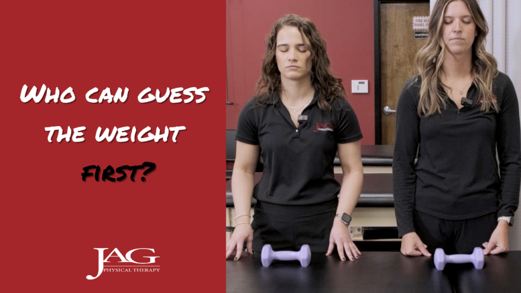 Guess The Weight