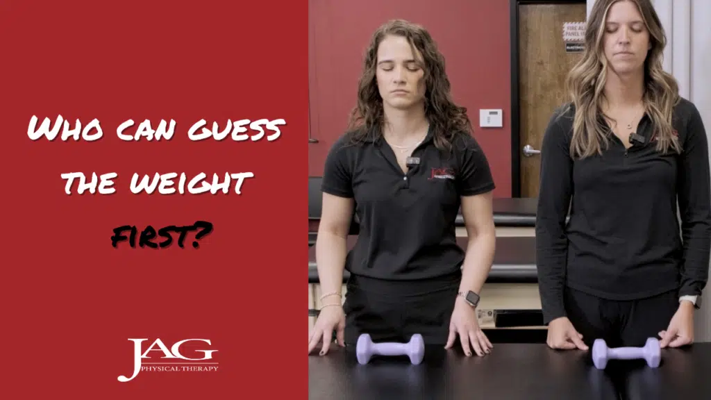 Guess The Weight