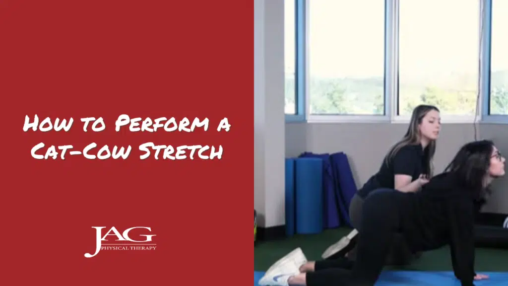 physical therapist instructing a patient how to perform a cat cow stretch for lower back pain