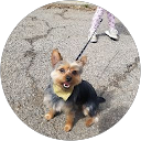 Natalie Smith profile picture