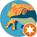 Ilsa G profile picture