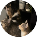 Mary Gilmore profile picture