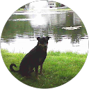 Francine Leff profile picture