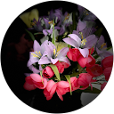 Doris Amparbeng profile picture