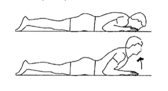 Picture12